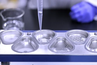 Pulmonary Delivery of Spray Dried Monoclonal Antibodies to Treat Lung Cancer