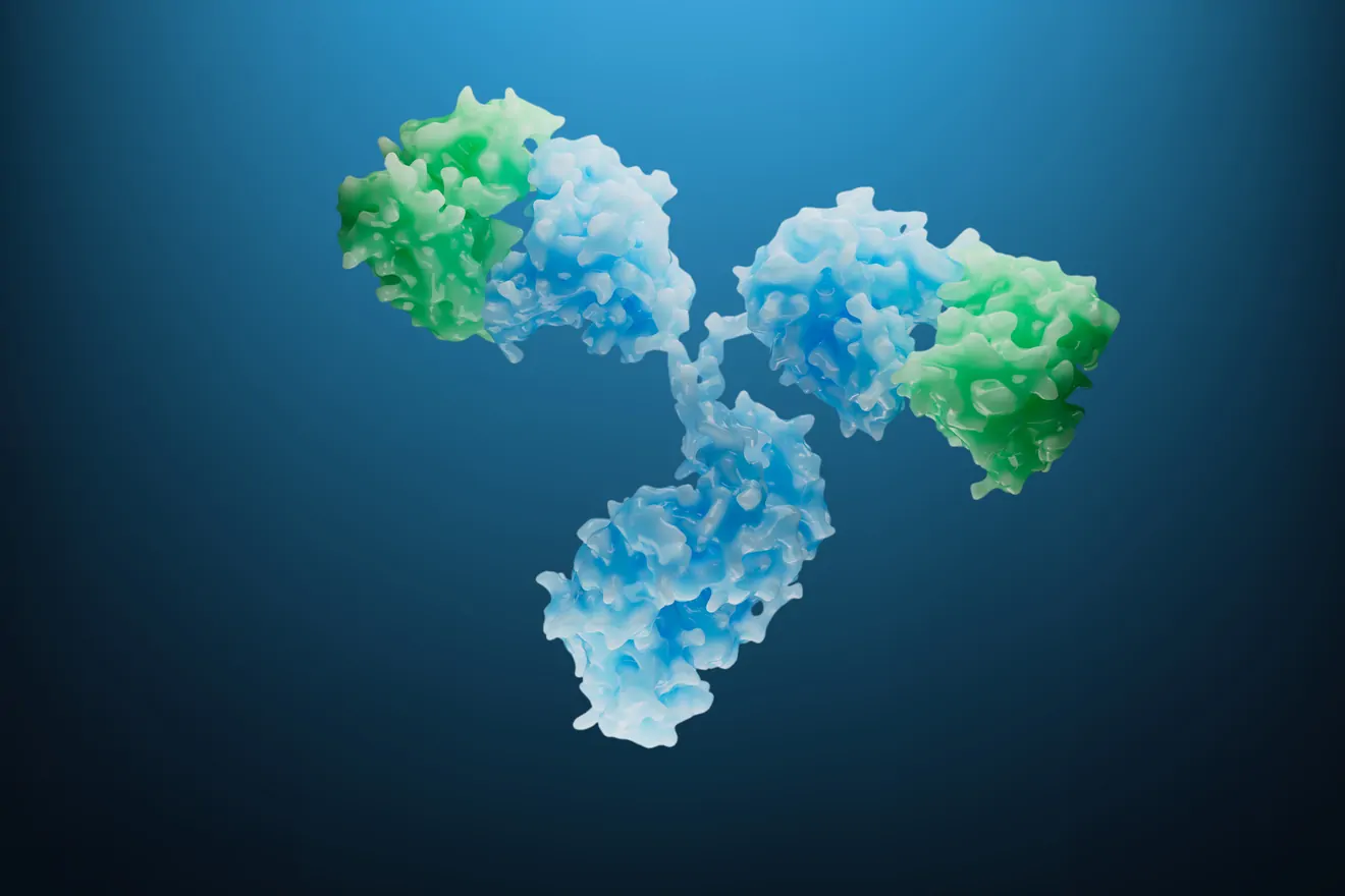 Monoclonal Antibody Molecule