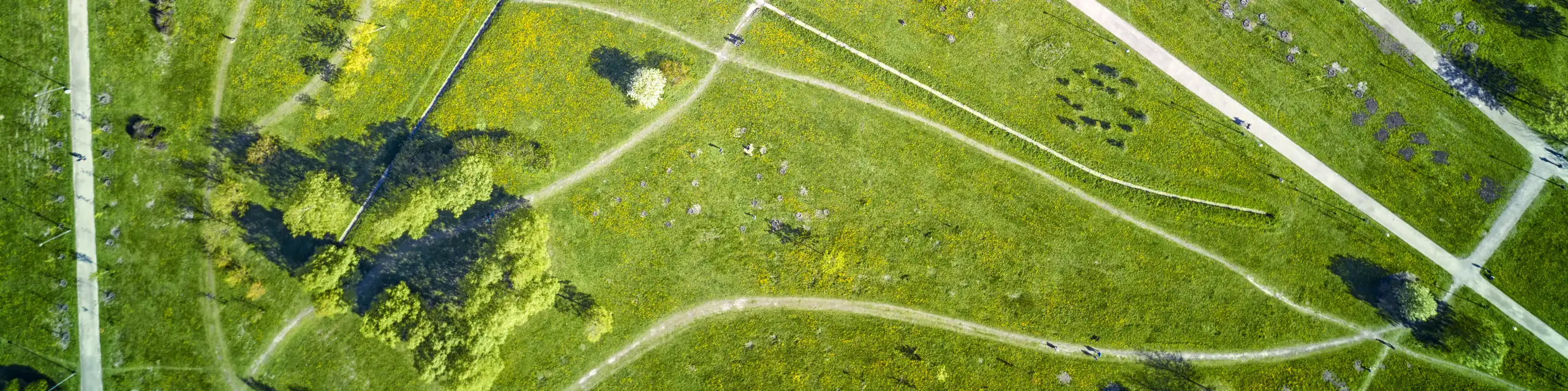 Pedestrian and bicycle paths in the green summer park, Russia.