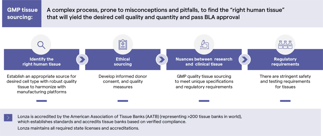 GMP tissue sourcing - SVG